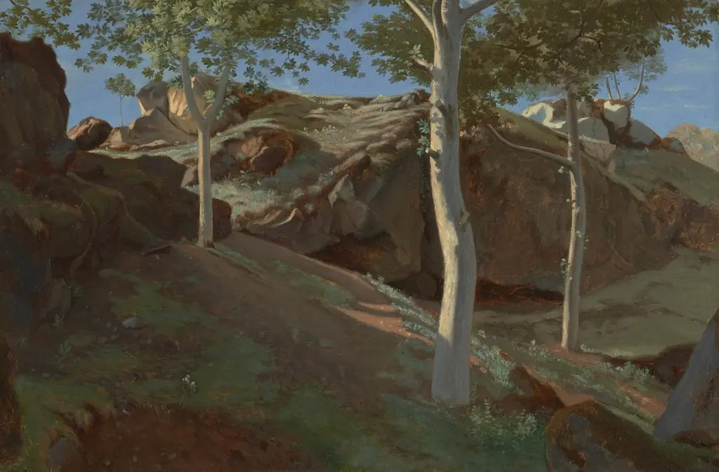 Birch Trees on a Rocky Incline: Fontainebleu