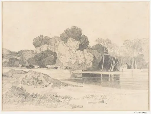 Cattle grazing beside a lake