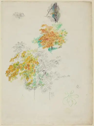 Studies of Trees