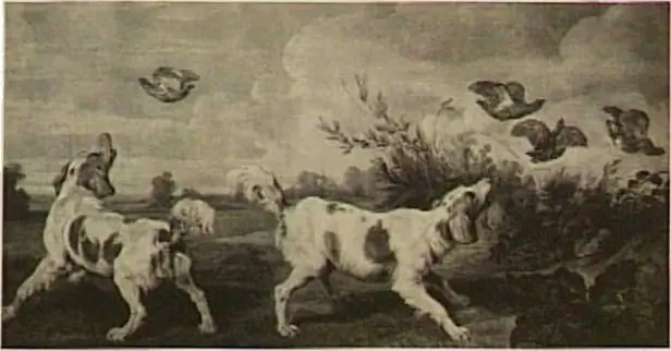 Dogs Hunting Partridges