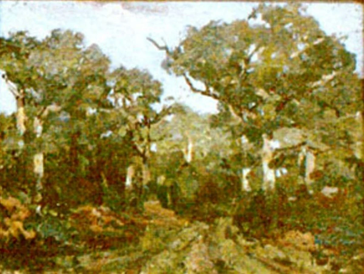 Colț de pădure, by Ion Andreescu, unspecified, 1850
