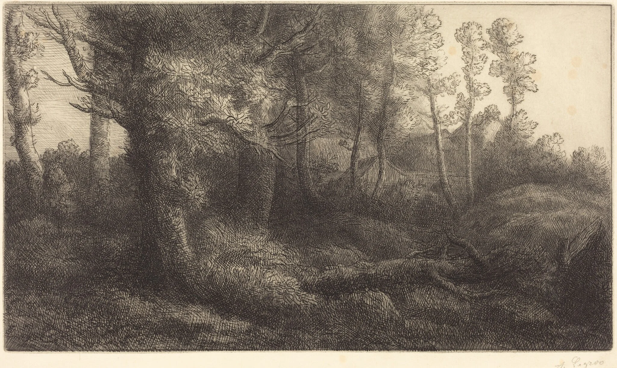 In the Forest (Lisiere de foret), by Alphonse Legros, ink, 1874