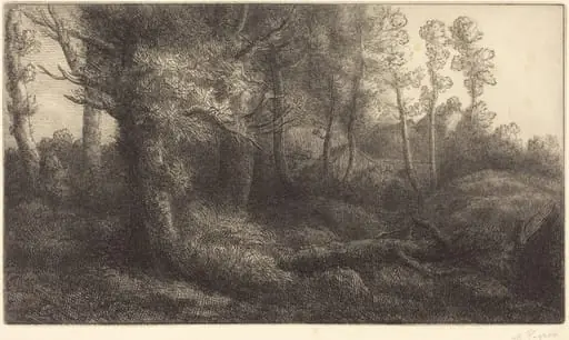 In the Forest (Lisiere de foret)