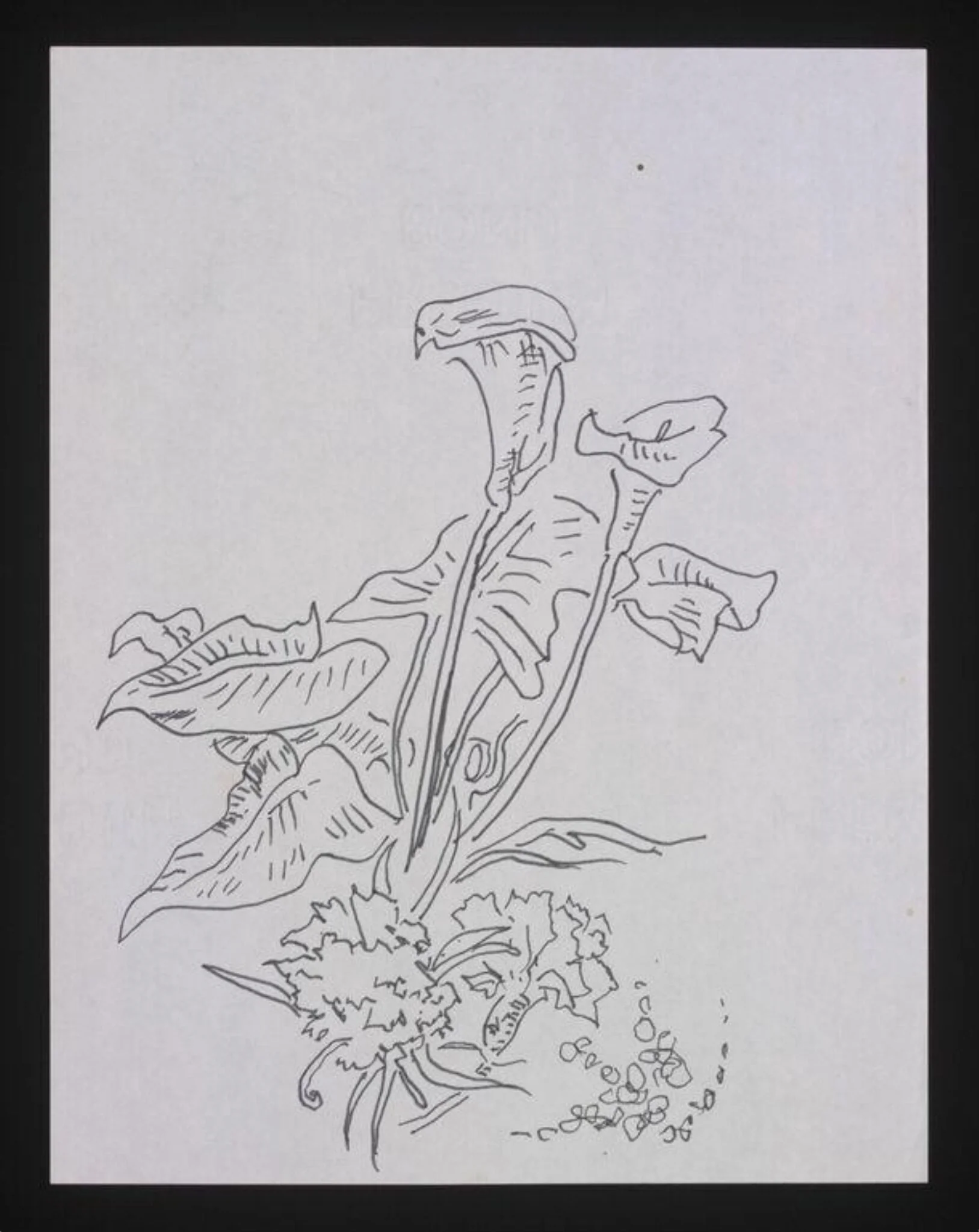 Drawing