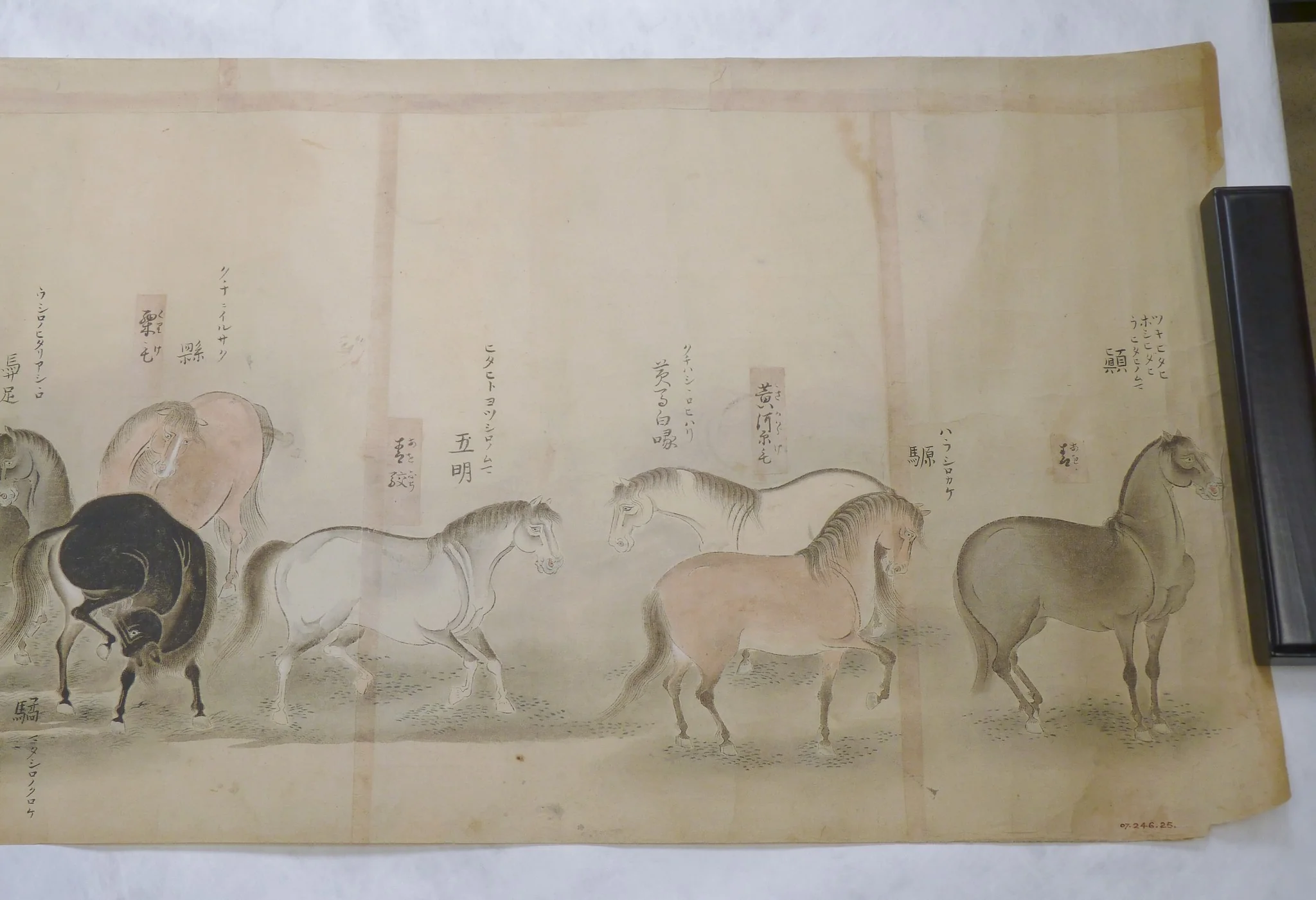 Japanese Drawing
