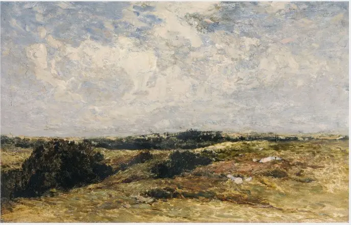 A Wicklow Common