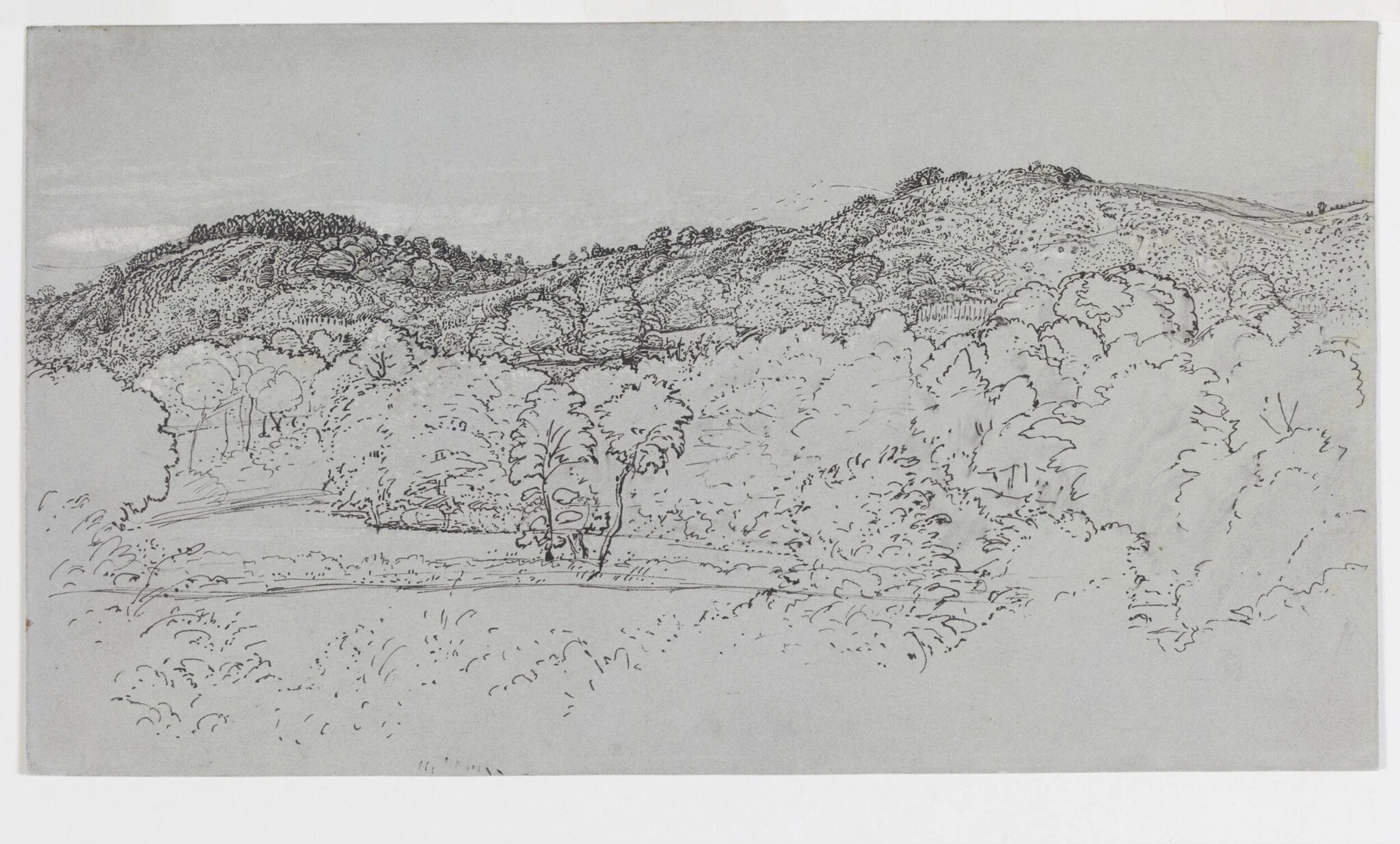 A wooded hillside at Underriver, near Sevenoaks, Kent