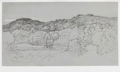 A wooded hillside at Underriver, near Sevenoaks, Kent
