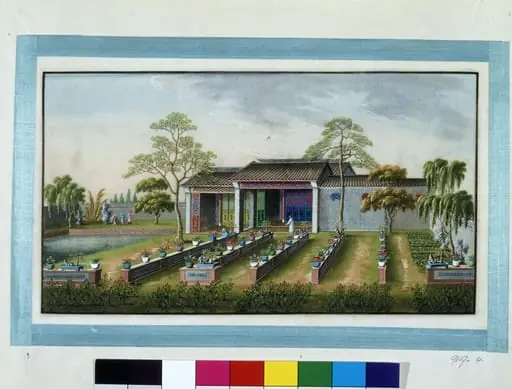 Garden scene