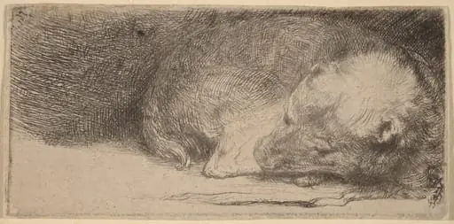 Sleeping Puppy