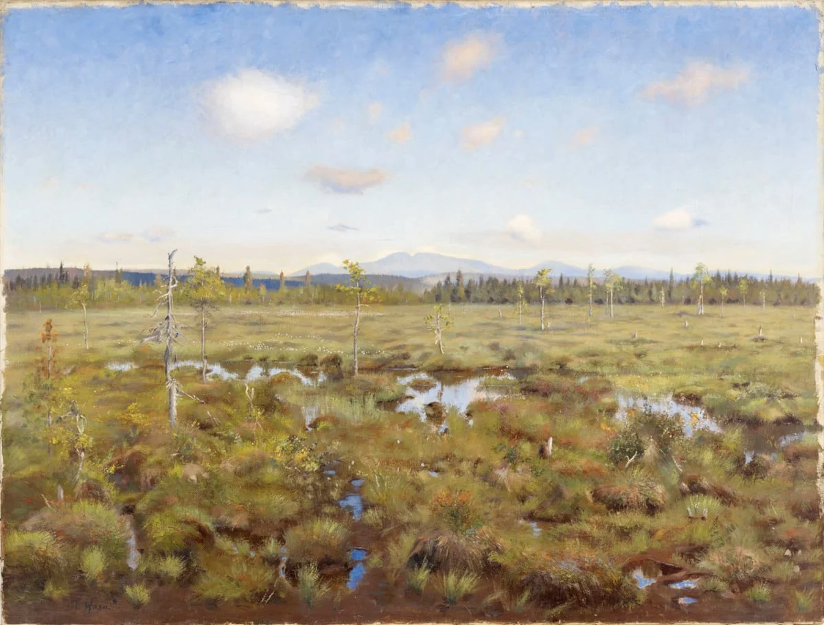 Maisema Lapista, by Torsten Wasastjerna, unspecified, 1903