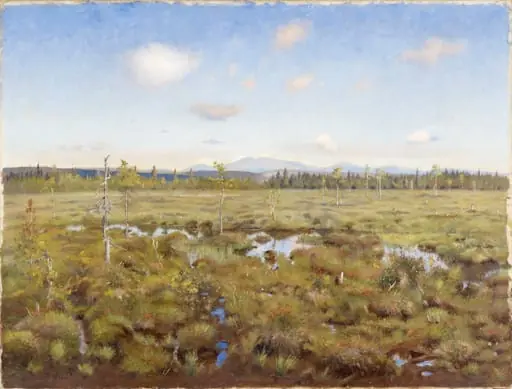 Maisema Lapista