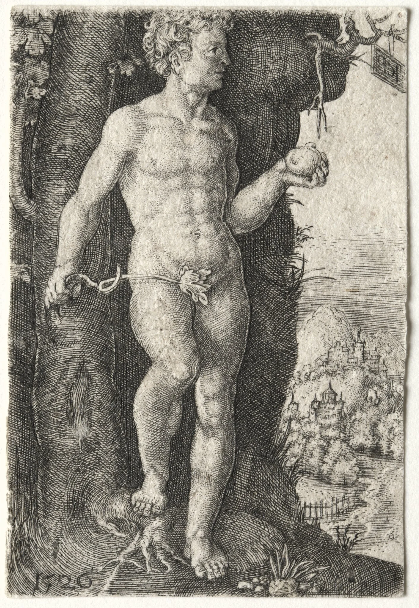 Adam, by Jacob Binck, 1526