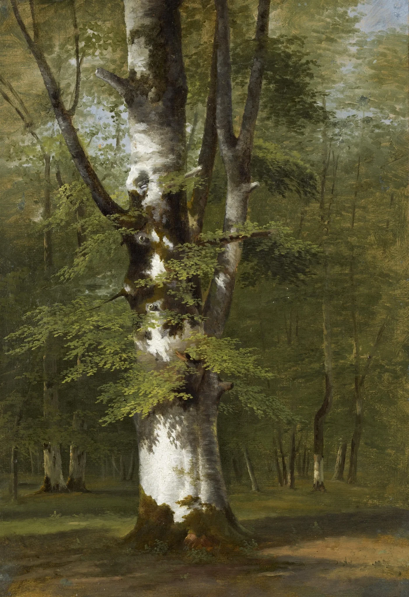 A Study of a Tree, by Achille Etna Michallon, unspecified, 1819