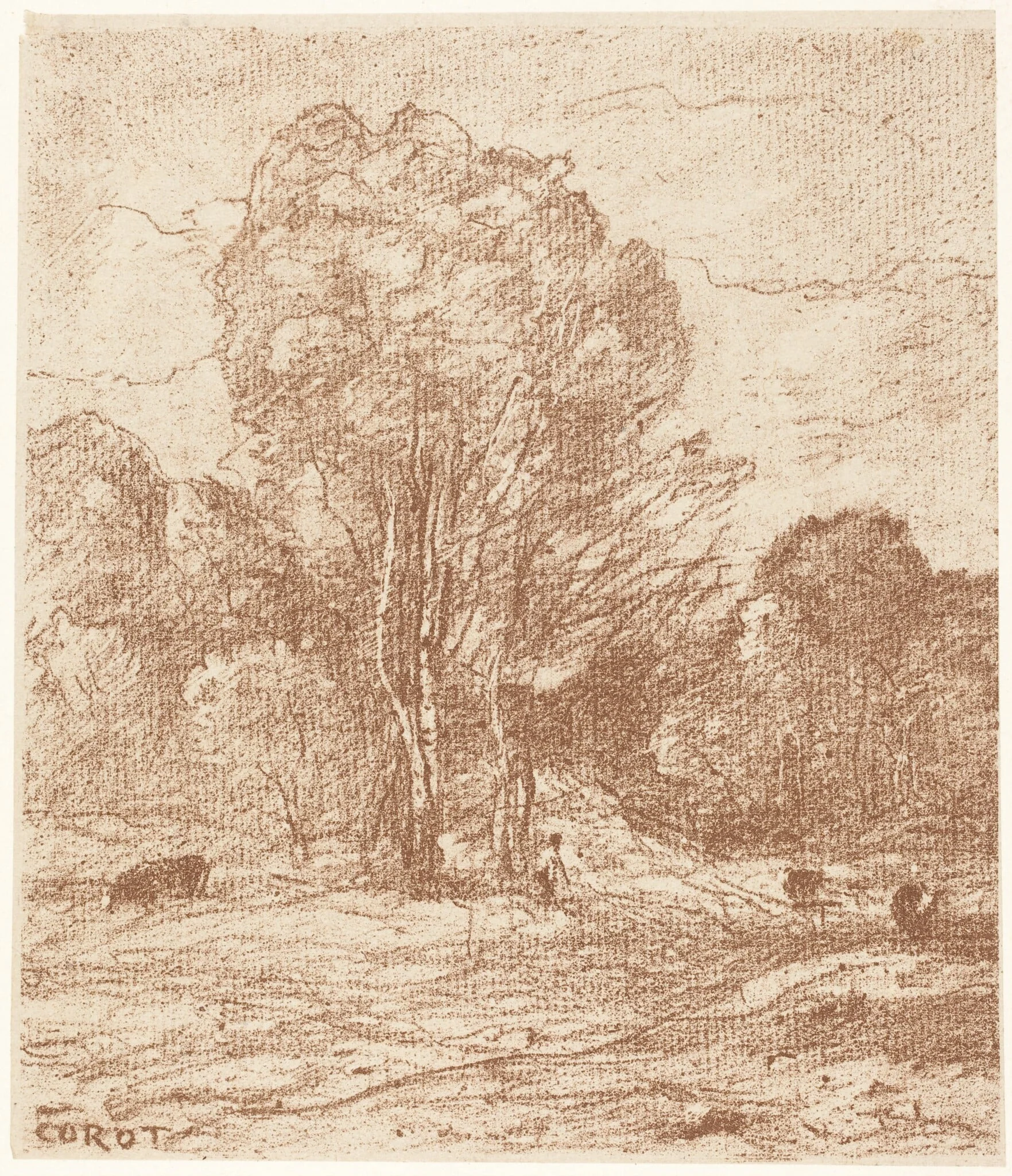 Drowsing Cattle (Le Dormoir des vaches), by Jean Baptiste Camille Corot, ink, 1871