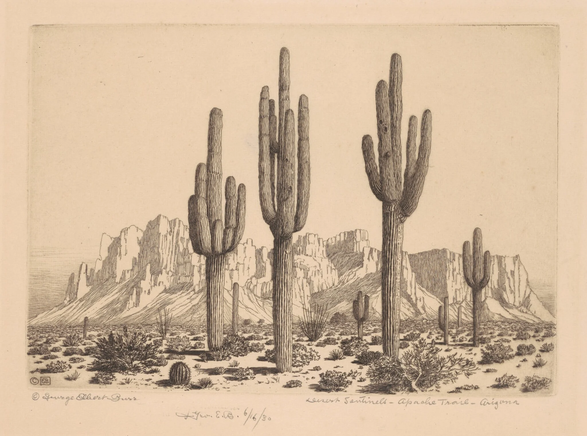 Desert Sentinels, Apache Trail, Arizona, by George Elbert Burr, ink, 1930