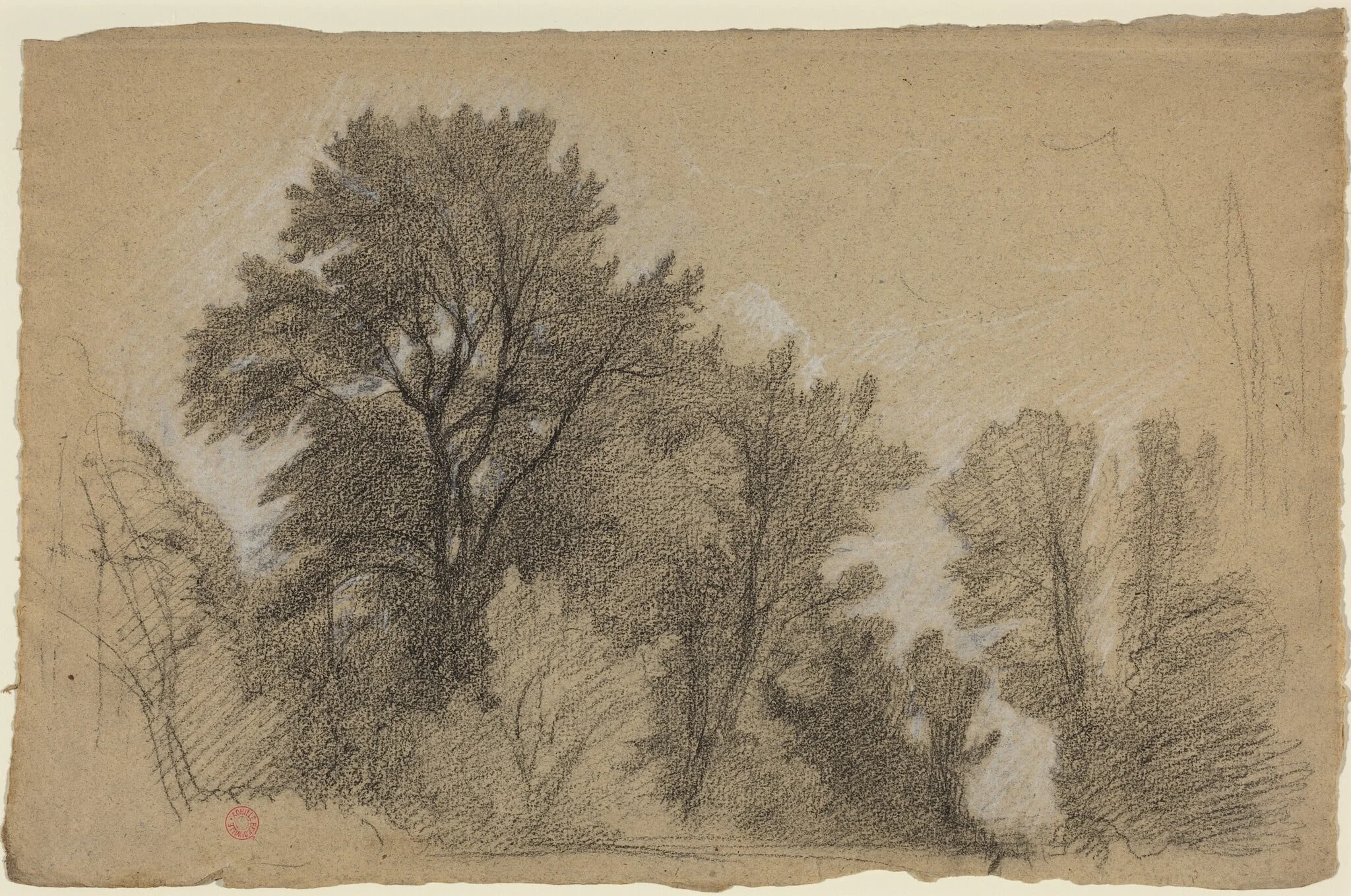 Edge of a Wood