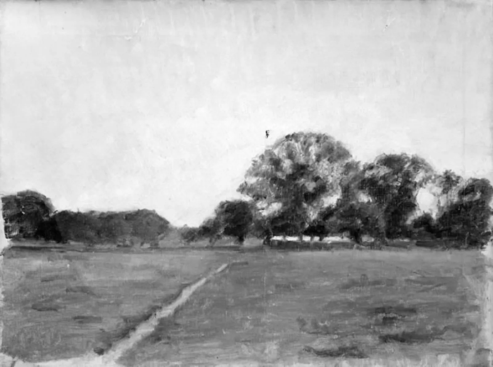 Eremitagesletten, by Unknown, 1904