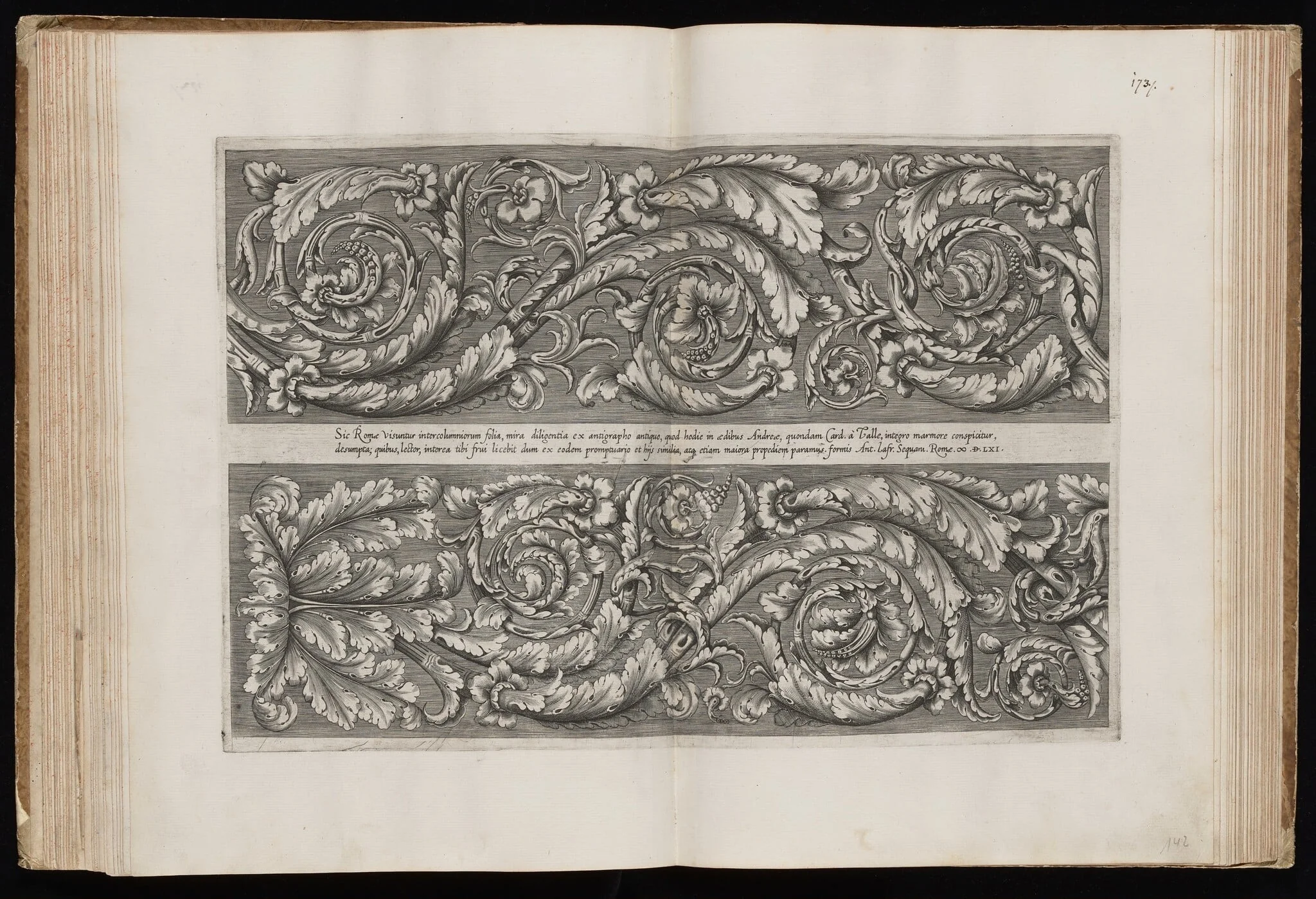 Acanthus Scrolls, by Italian 16th Century, ink, 1561