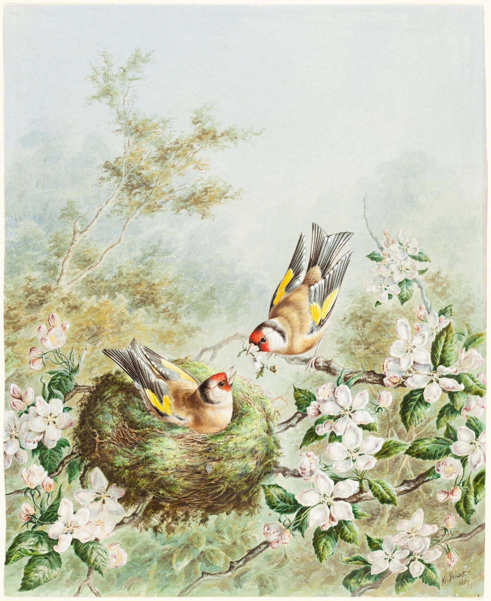 Gold Finches and Their Nest in an Apple Tree, by Harry Bright, gouache, 1878