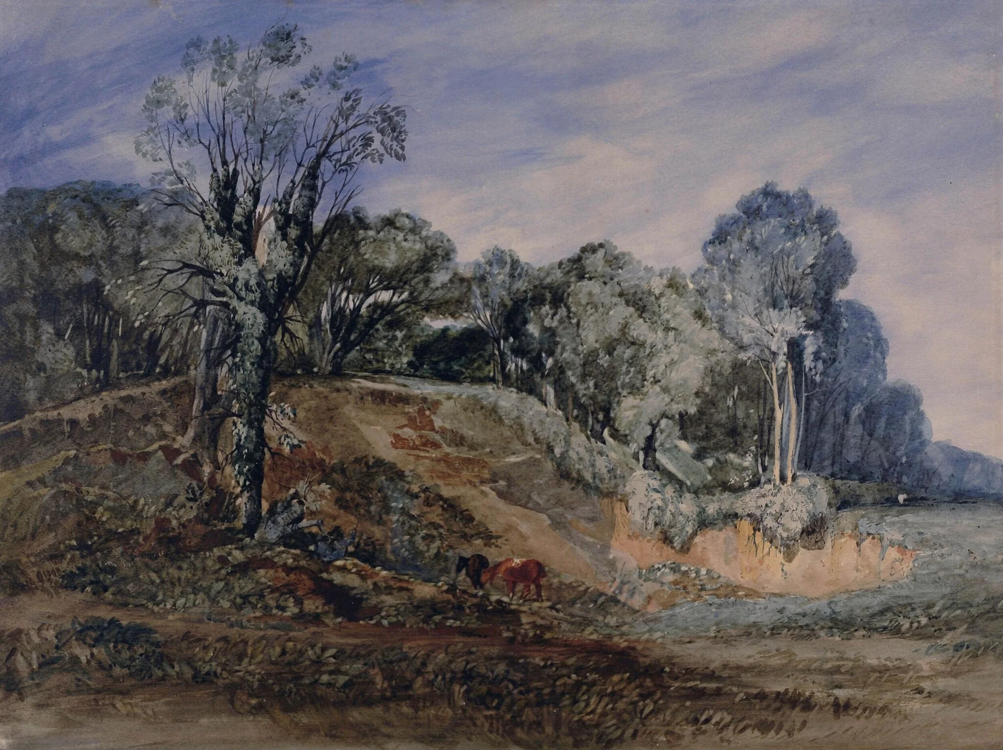 Hampstead Heath
