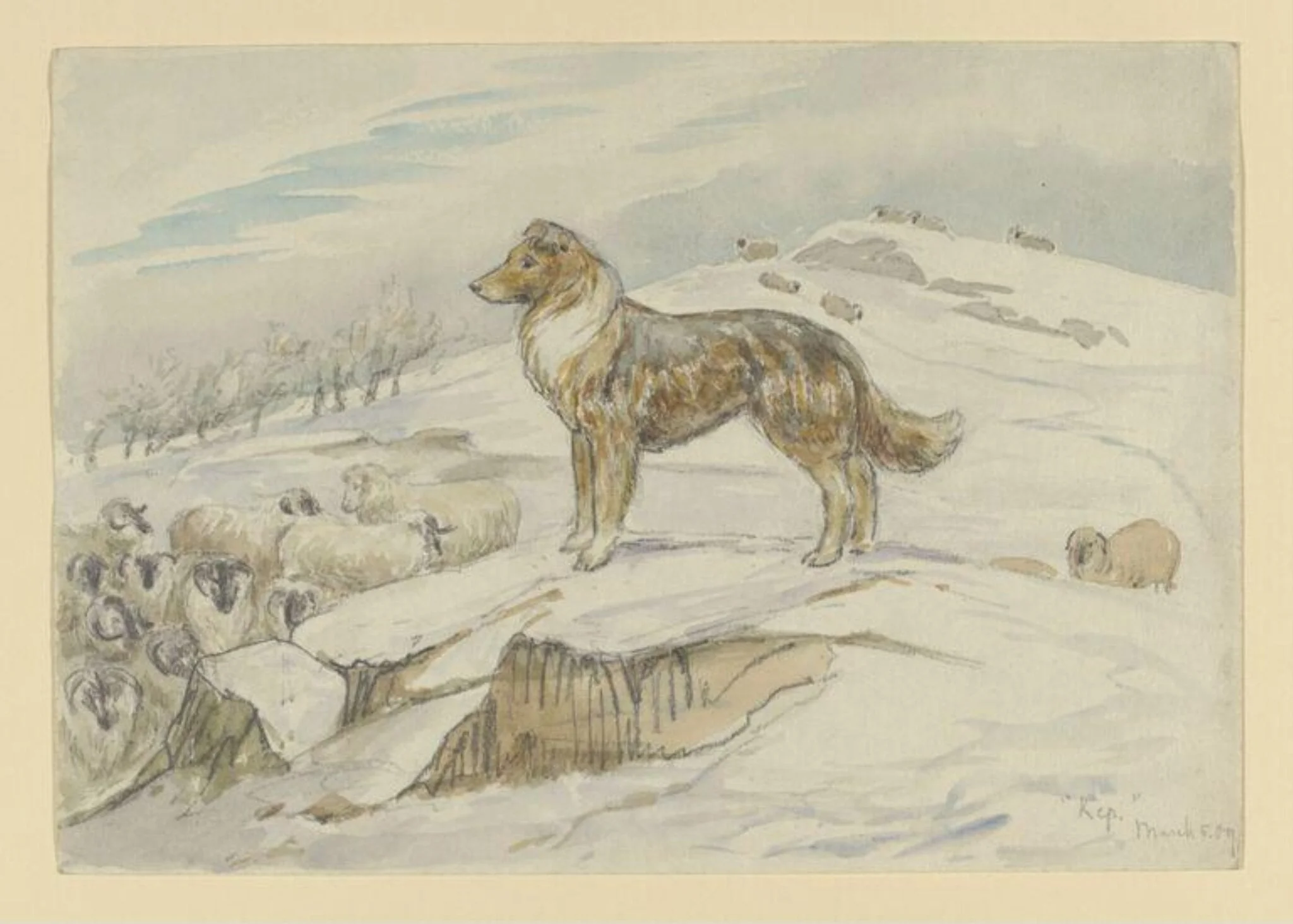 Kep, by Beatrix Potter, watercolor, 4