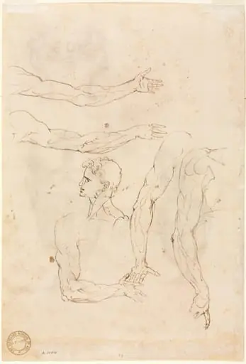 Sketches of Five Arms and a Head (verso)