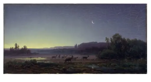 Deer at Dawn near Munich