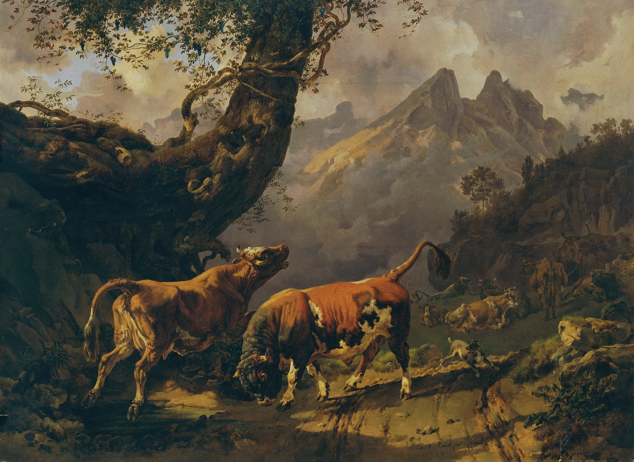 Bull chasing a cow with  in the background the landscape around Carrara
