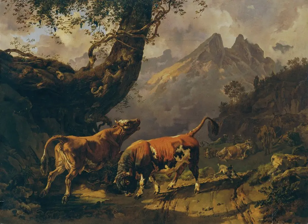 Bull chasing a cow with  in the background the landscape around Carrara