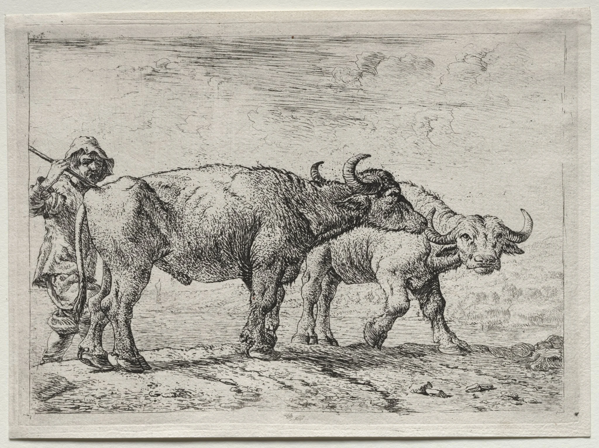 The Two Buffaloes, by Pieter van Laer, 1630