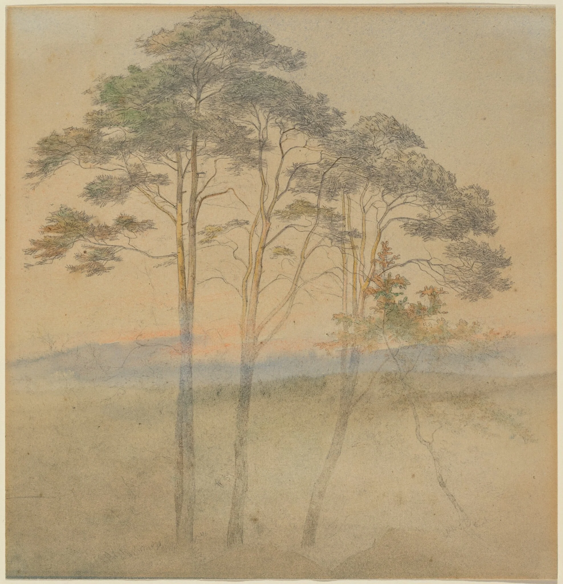 Pines in a Morning Fog, by Ernst Ferdinand Oehme, graphite, 1834