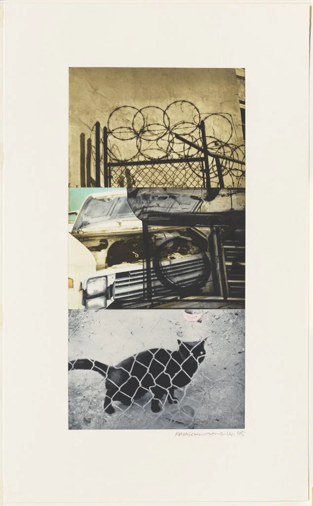 Untitled, by Robert Rauschenberg, 1995