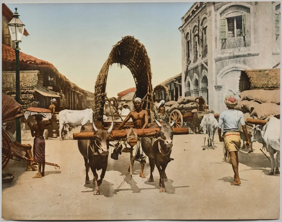 India. Ceylon. Colombo. Street Scene, after photo by Dr. Kurt Boeck, by Photoglob Co., 1900