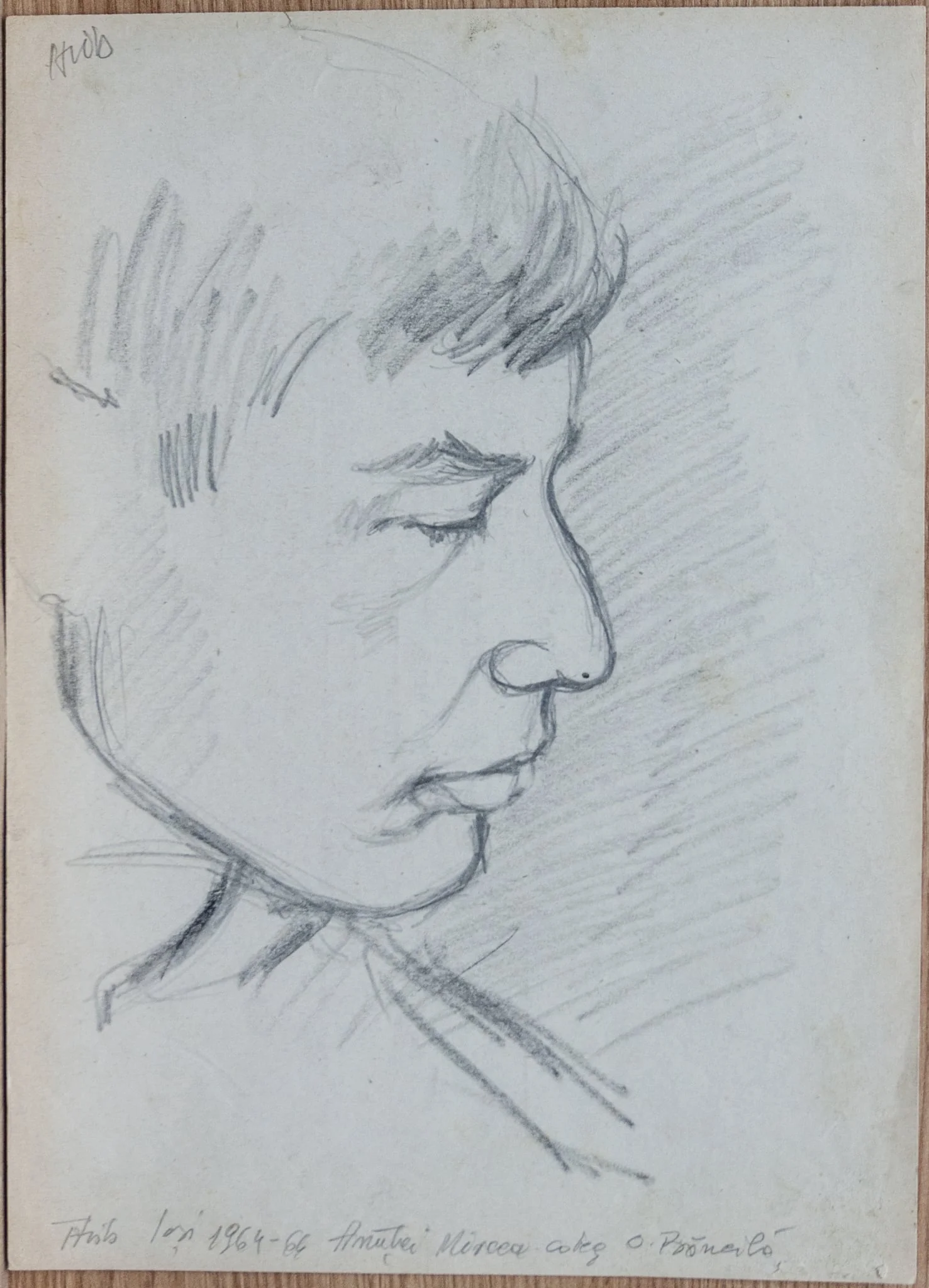Anuței Mircea coleg, by Teodor Hrib, 1950