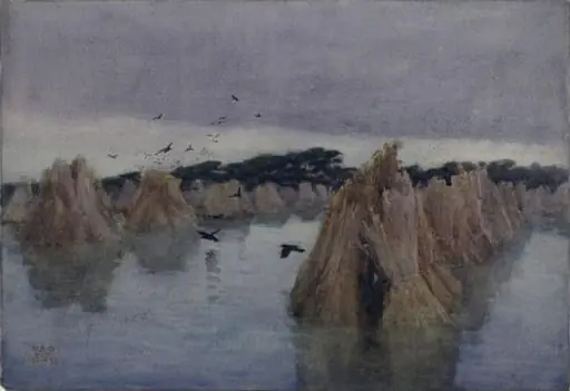 Flooded cornstooks
