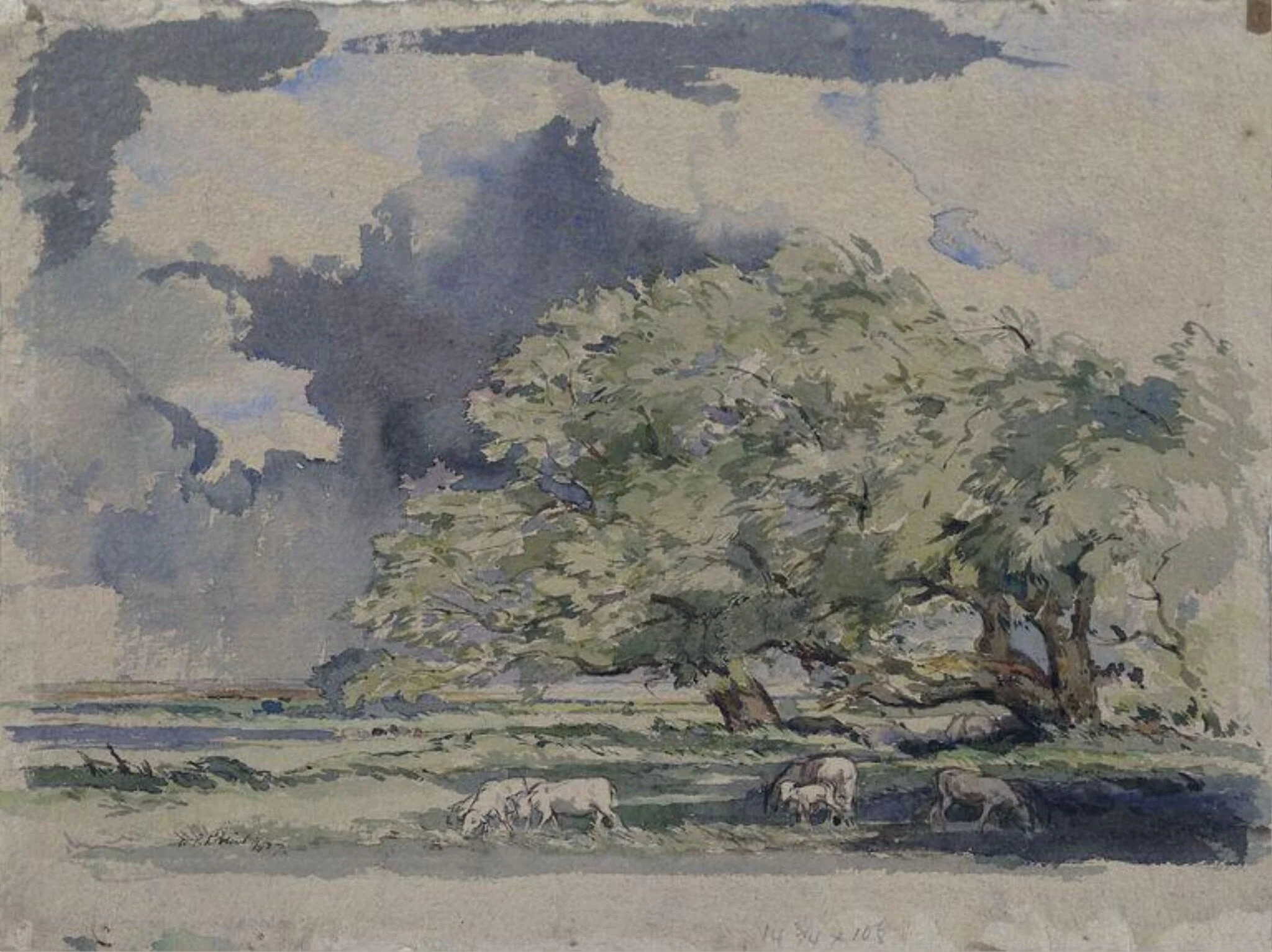 Marshes at Minster