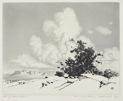 Summer Cloud, Apache Trail, Arizona