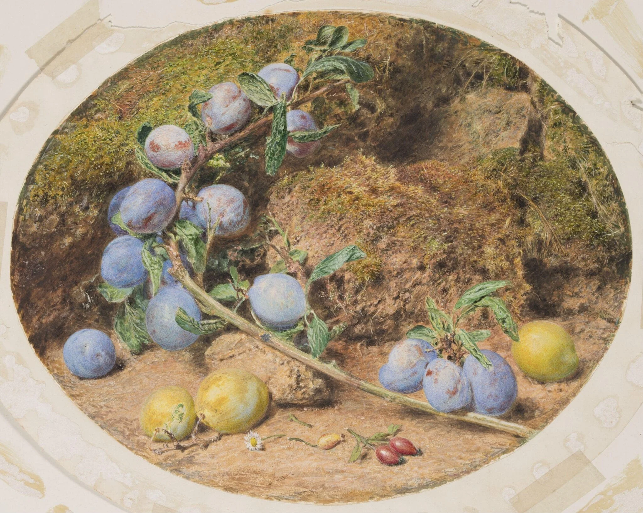 Untitled, by William Henry Hunt, watercolor, 1837