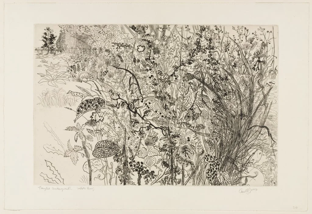 Untitled, by Anthony Gross, ink, 1950