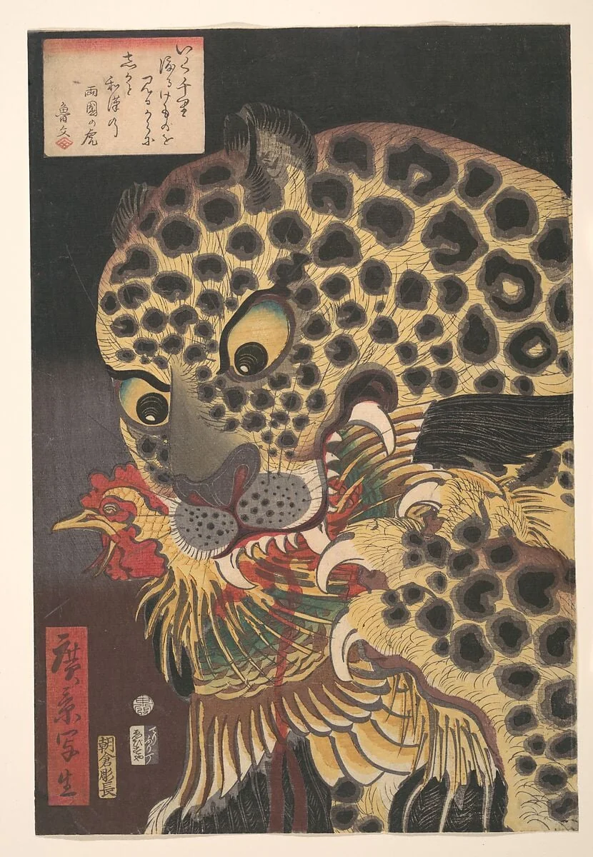 「広影写生　両国の虎」|“The Tiger of Ryōkoku,” from the series True Scenes by Hirokage