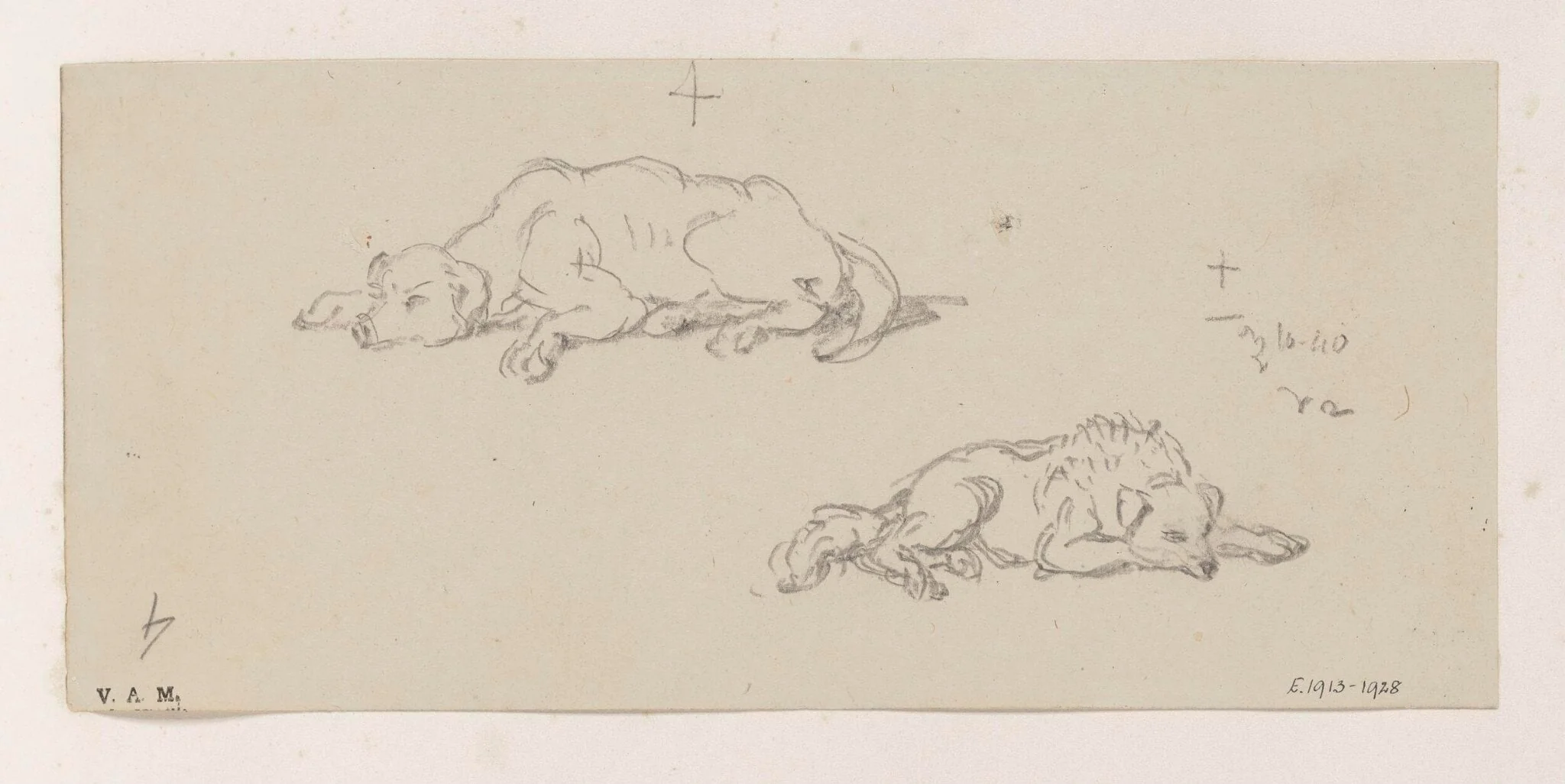 Two studies of a sleeping dog, by George Chinnery, 10