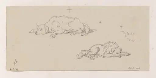 Two studies of a sleeping dog