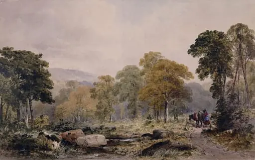 A Wood near Cheltenham