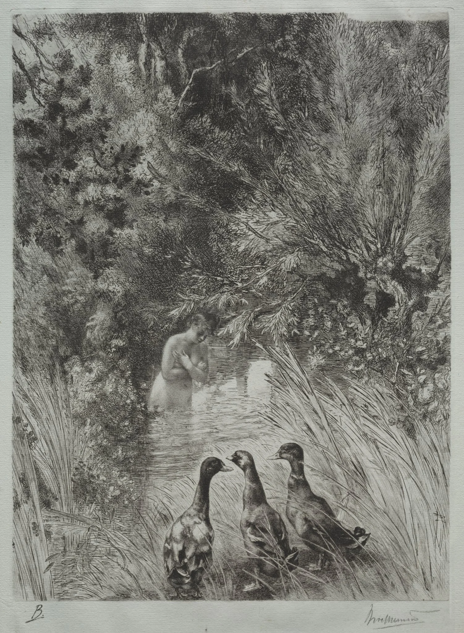 The Surprised Ducks, by Félix Bracquemond, 1882