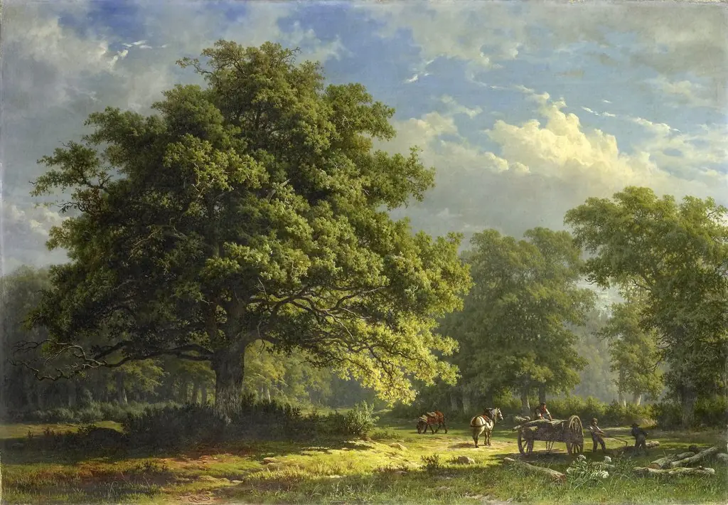 View in the Bentheim Forest