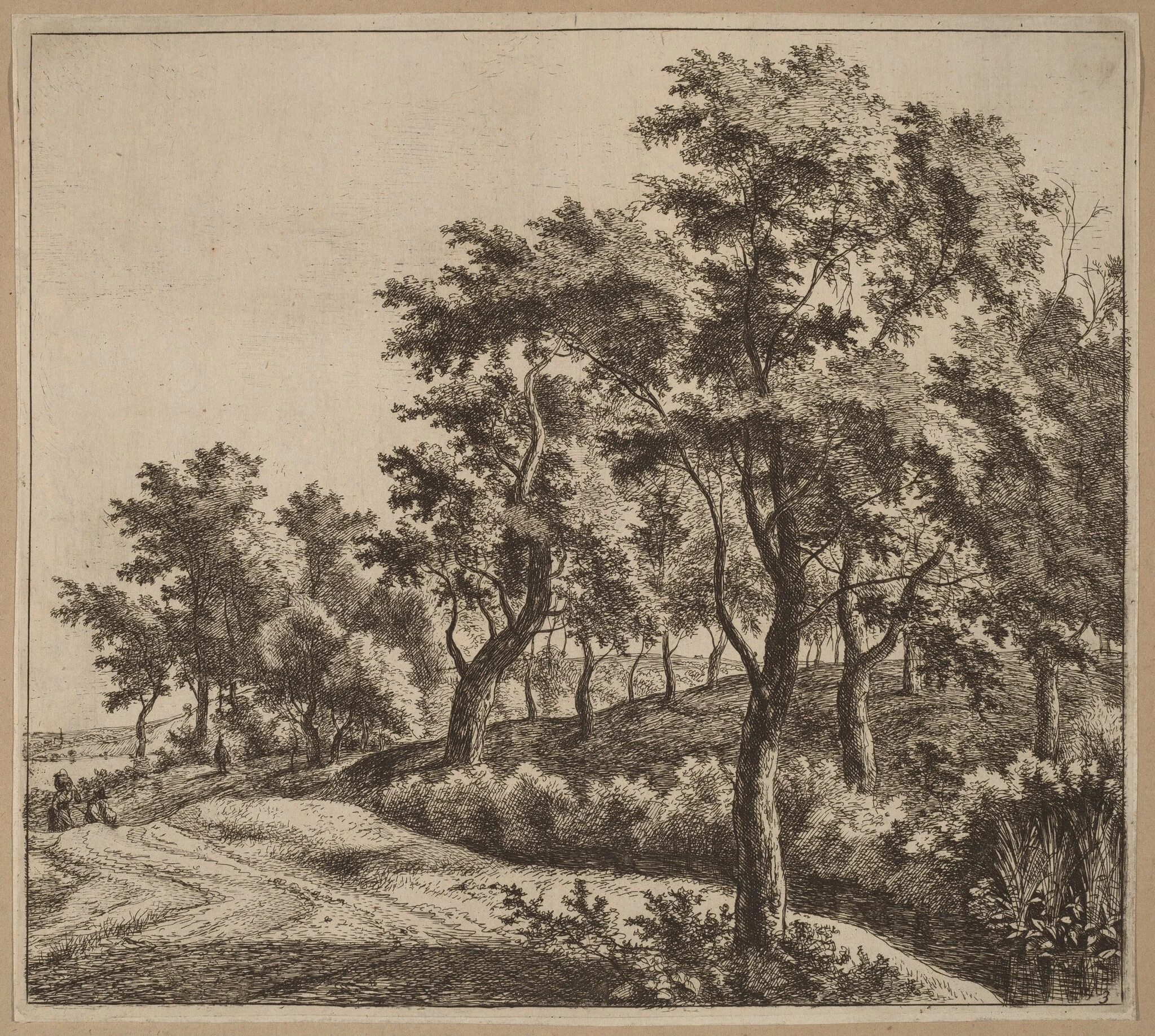 Landscape with a Stream, by Jan Hackaert, ink, 1664