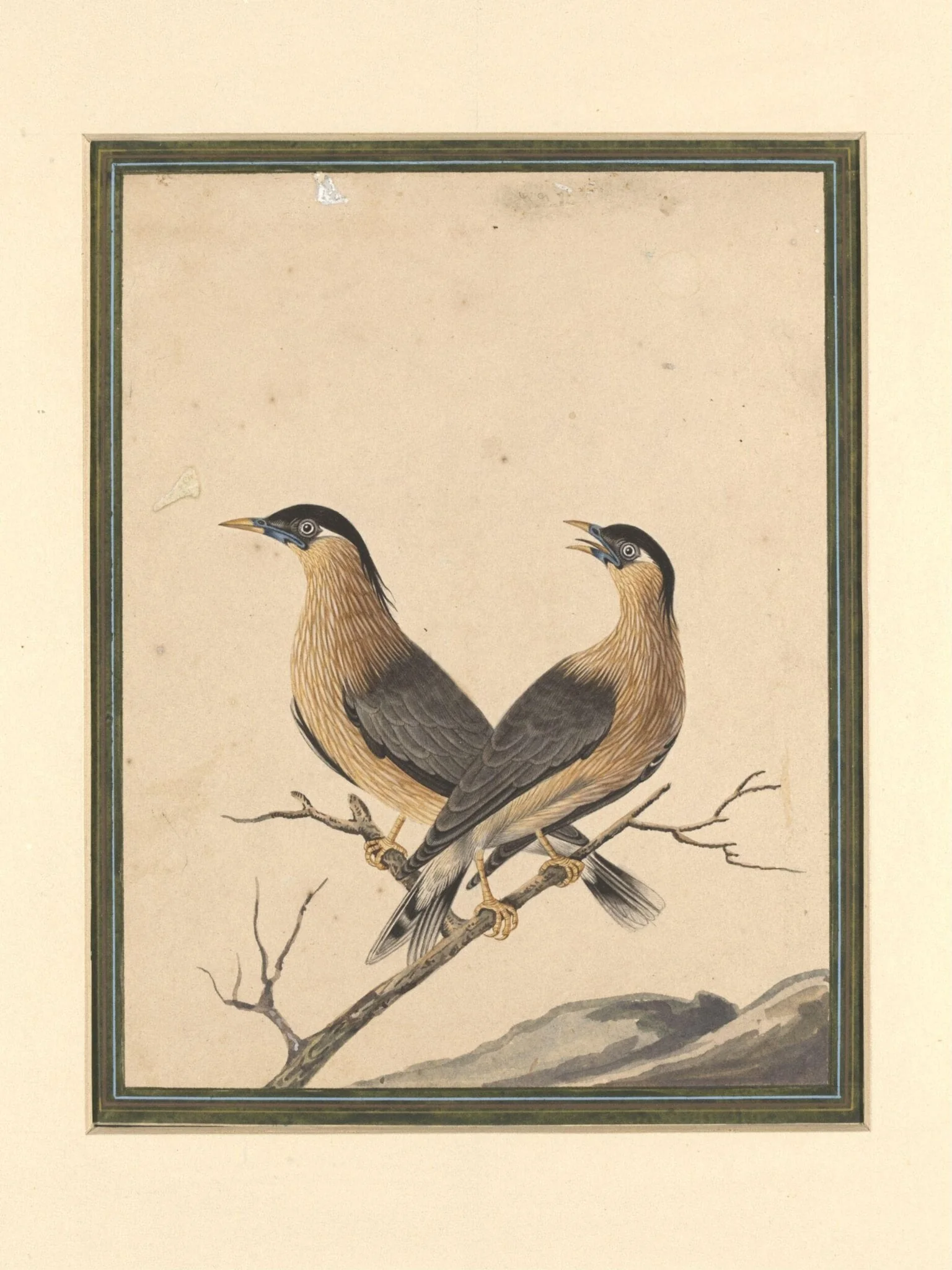 Two birds on a branch
