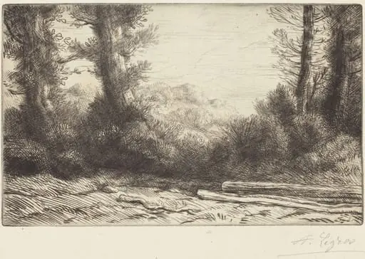 Edge of a Wood (Lisiere de bois)
