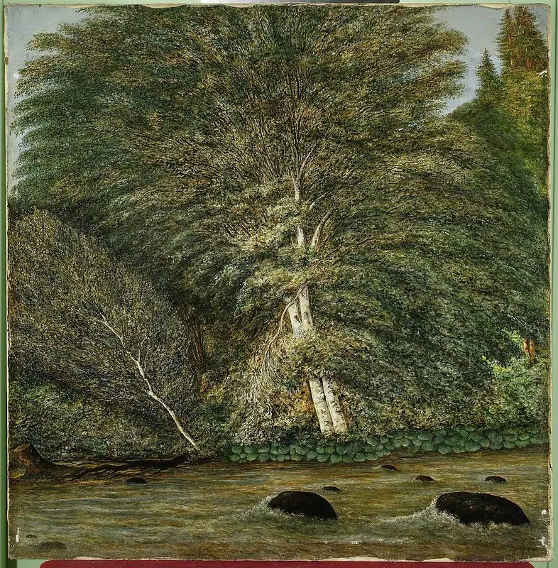 Forest nook in Ansee